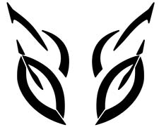 supra2nv logo